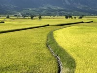 卓榮泰：觀光產業會與地方建設合一  創造新紀元