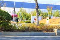 傳禁台積電三星中國廠用美國技術 專家：對三星和海力士影響較大