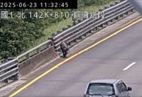 黑豬掉落國道趴趴走釀追撞  貨車駕駛將挨罰