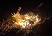 金門豬肉輸台解禁 防疫所持續配合海巡處理海漂豬