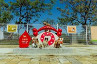 高市橋頭寵物活動區啟用  毛孩專屬舒適空間