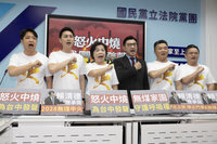 台中藍委齊聚  籲政府實現無煤家園守護民眾健康