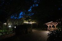 北市立動物園迎暑假 8個週六開園至晚上9時