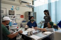 白癡公主錄實境秀當動物志工 見小猴子過世崩潰