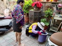 台南第5例登革熱境外移入  6月下旬曾赴菲律賓
