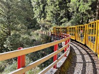 太平山5日傍晚預警休園  宜蘭10條步道暫停開放