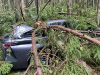 溪頭環境待整理缺水電8日仍休園 清境農場恢復營業