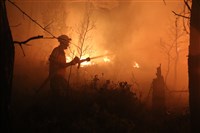 敘利亞野火延燒數日毀近萬公頃林地 約旦消防趕抵支援