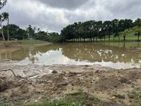 澄清湖颱風後流進黃泥水 市府：自然現象1週內恢復