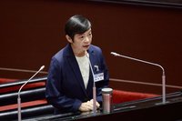 蘇素娥：內亂罪實務上幾乎已不存在