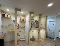 暑假出遊寄養毛孩 北市動保處公布合法業者名單