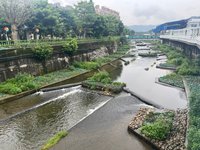 新北泰山大窠坑溪2期完工  友善生態打造親水綠廊