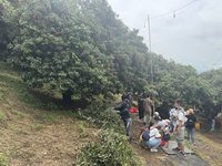 新竹荔枝全台最北  果農籲桂味品種進尾聲要把握