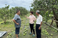 颱風重創台南農漁業  陳亭妃籲天災貸款首年免息
