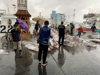 加拿大再通報獵殺海豚  涉案船長屏檢諭知40萬交保