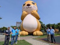 金門巨大水獺「阿特」開箱　推廣暑假親子嘉年華