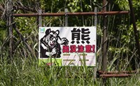 日本又見熊出沒  高球賽被迫喊停