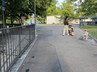瑞士出生率低勞動市場缺工  央行發經濟發展趨緩警訊