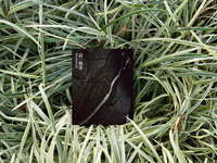 許震唐12年「追一條溪」　看見濁水溪的變化與日常