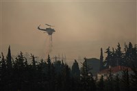 希臘多地野火持續肆虐　捷克義大利伸援