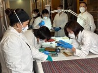 烏來泰雅博物館赴歐考察 追溯原民文物百年流浪史