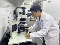 暴雨高濁期　台水：抽驗77件均符飲用水質標準