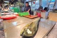 漁民盼關稅談得低一點　減少鬼頭刀外銷衝擊