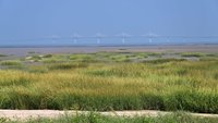金門潮間帶環境惡化　攝影展盼喚起環境議題重視