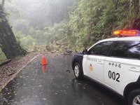 連日降雨影響　台中大雪山道路樹木倒塌阻斷交通