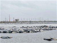 風災受損光電板　環部重申：業者須負清除處理責任