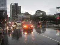 疑大雨視線不佳　高雄駕駛擦撞斑馬線行人扣照1年