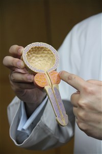 83歲翁攝護腺肥大　新式微創手術解「男」尿之苦