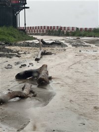 丹娜絲風災賑助金增至1萬元　土石流戶也適用