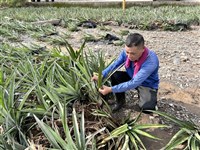 0728豪雨農損近5億元  屏東、台中都逾億元