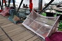 孟加拉登革熱疫情嚴峻已逾百死  專家示警8月恐加劇