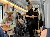 德國邊境檢查耗資8千萬歐 支出最多在警察加班費