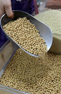 福懋油等6公司申請聯合合船進口黃豆　公平會通過