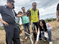 颱風楊柳重創台東酪梨  立委籲農業部專案補助