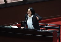 綠批企圖修法讓韓國瑜兼黨主席　陳玉珍：非因人設事