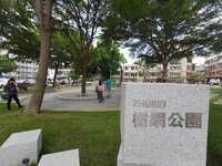 竹北樹網公園啟用　孩童長者共享綠色空間