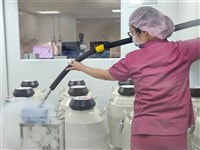 衛福部9月新制　罹癌凍卵取精最多補助7萬元