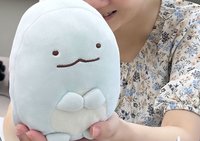 開學前焦慮升溫　新生入校帶陪讀小夥伴建立安全感