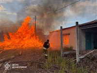 確信川普不會有行動　阿拉斯加會後蒲亭升高對烏攻勢