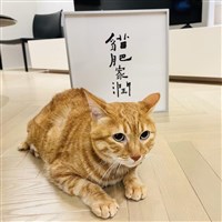 蔡英文過生日　祝願台灣風調雨順