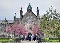 加拿大核發國際學生簽證數暴跌  比去年同期減近9萬份