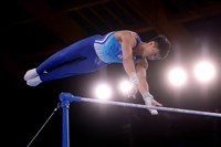 巴黎體操世界盃挑戰賽 唐嘉鴻下法失誤單槓奪銅