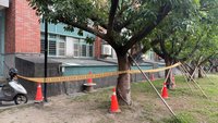 新北1國中生踩破停車場遮光罩　墜落受傷送醫
