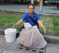巨大黑腹虎頭蜂窩現蹤埔里鬧區  捕蜂人：不尋常