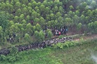 邊境衝突升溫　泰國警告柬埔寨別靠平民侵占領土