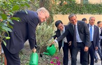 與義國政要種下橄欖樹　林佳龍盼堅韌友誼茁壯長存
